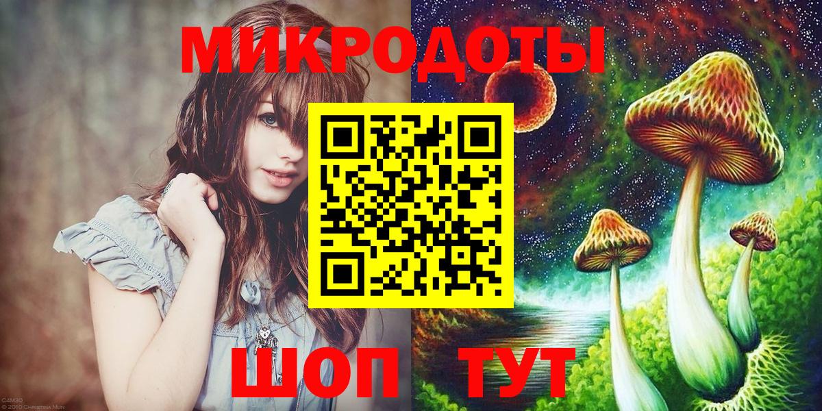 Псилоцибиновые грибы Psilocybe Славгород