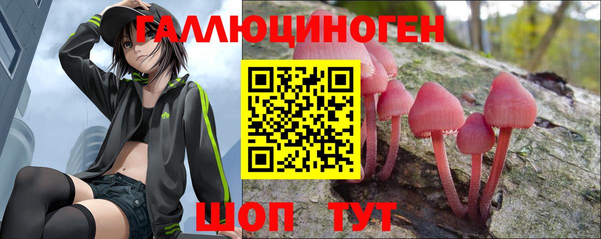 Галлюциногенные грибы Cubensis  Вход с VPN  Славгород 