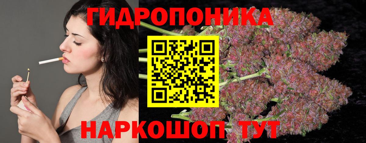 МАРИХУАНА конопля  Вход с VPN  Бошки марихуана White Widow  Бошки марихуана план  Славгород 